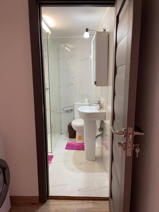 Lavender Luxury Apartment オラデア エクステリア 写真