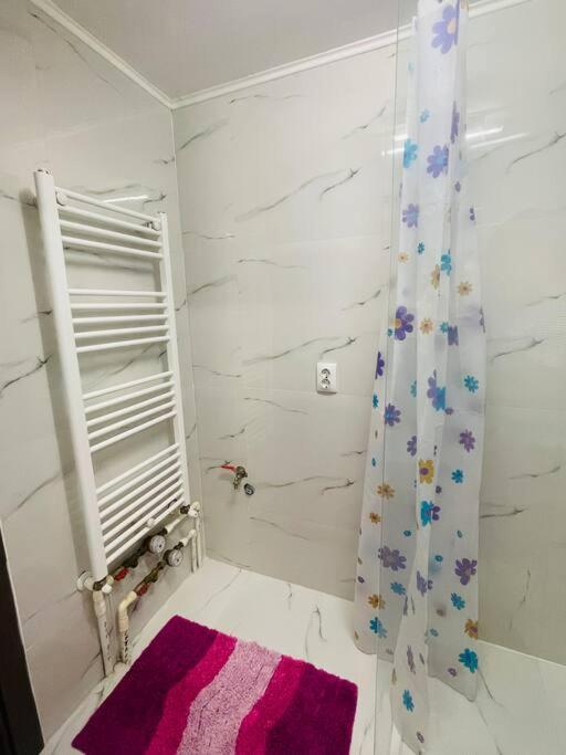 Lavender Luxury Apartment オラデア エクステリア 写真