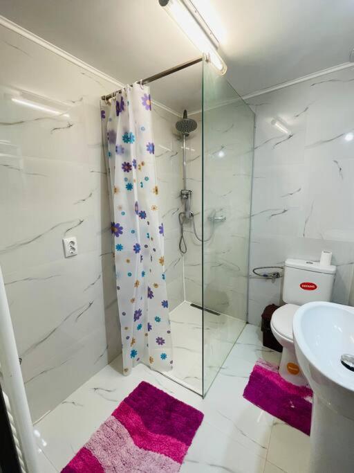 Lavender Luxury Apartment オラデア エクステリア 写真
