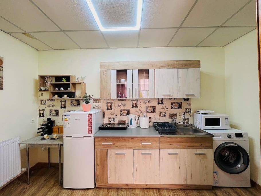 Lavender Luxury Apartment オラデア エクステリア 写真