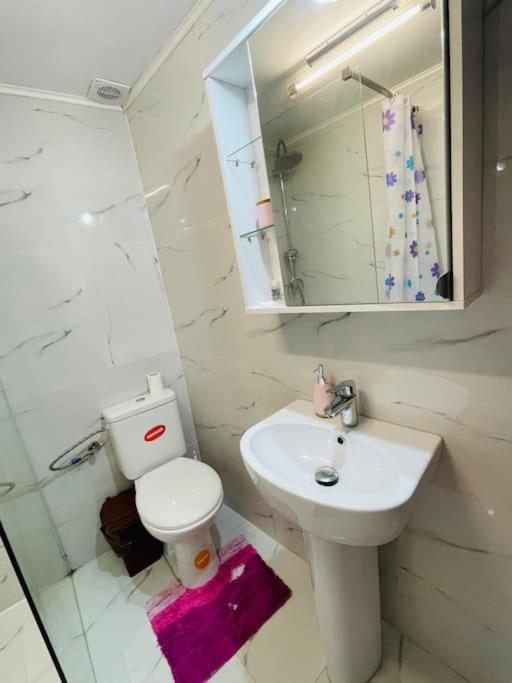 Lavender Luxury Apartment オラデア エクステリア 写真